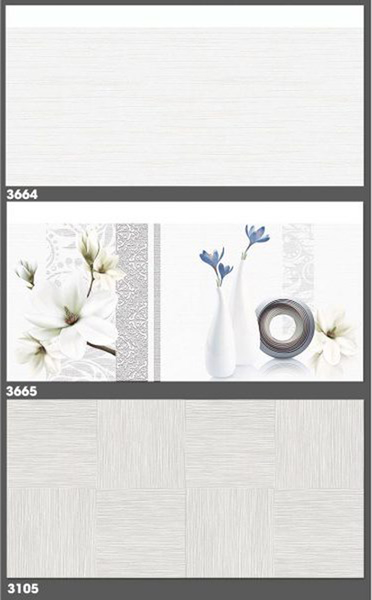 Gạch ốp tường Tasa 30x60 3664-3665