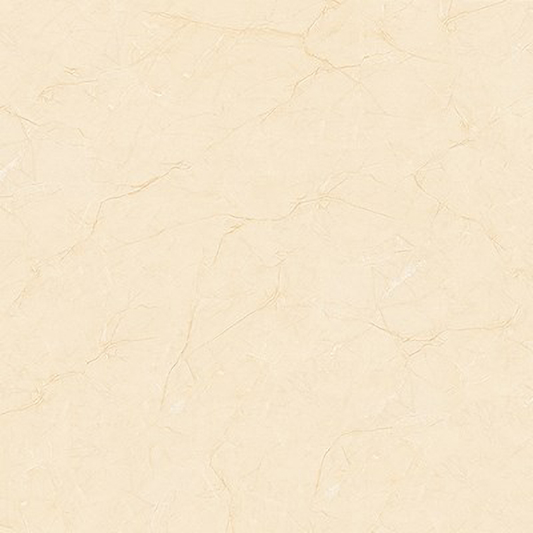 Gạch lát nền Tasa 80x80 8101