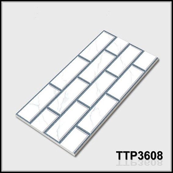 Gạch trang trí 30x60 TTP3608