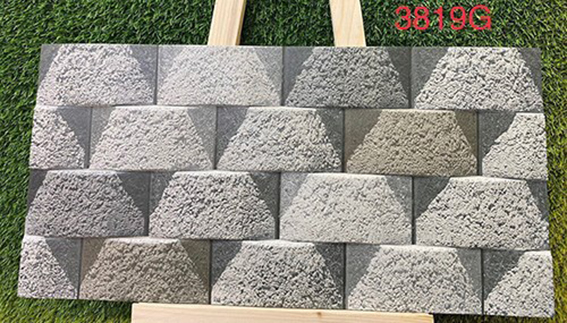 Gạch trang trí 3D Ấn Độ 30x60 3819G