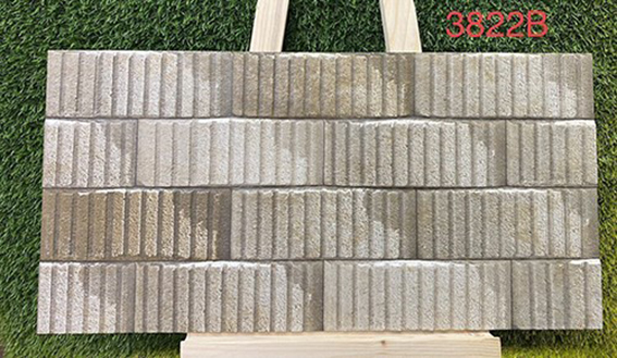 Gạch trang trí 3D Ấn Độ 30x60 3822B