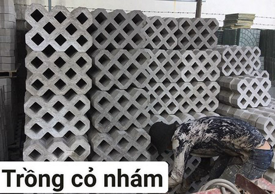 Gạch trồng cỏ 8 lỗ nhám