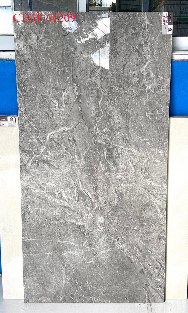 Gạch Viglacera 60x120 CLGP61209