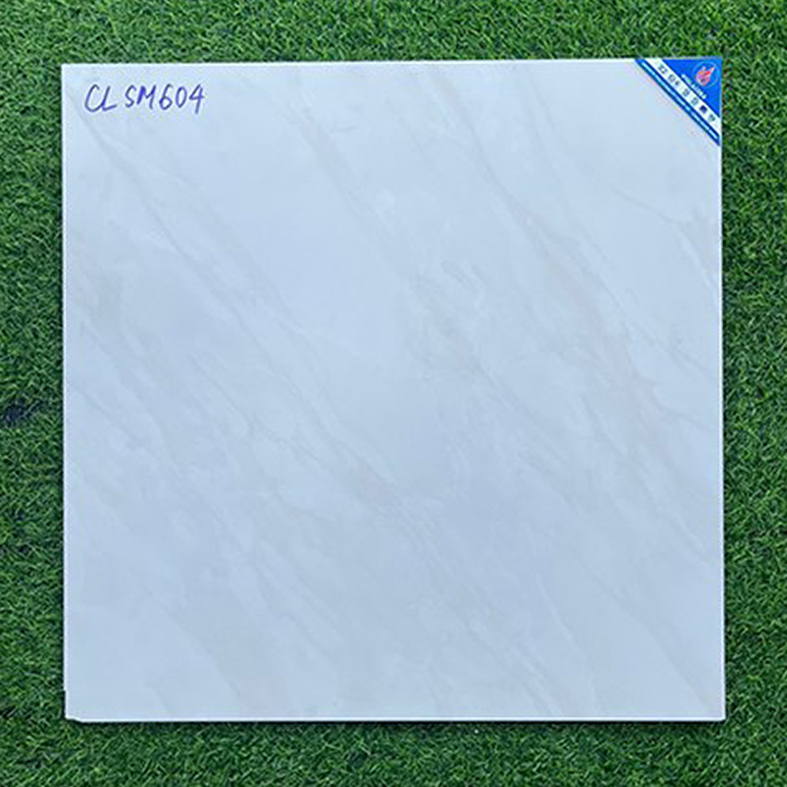 Gạch Viglacera 60x60 mờ CLSM604