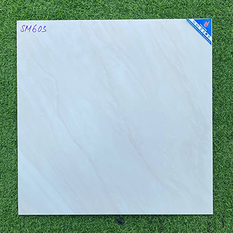 Gạch Viglacera 60x60 mờ SM603