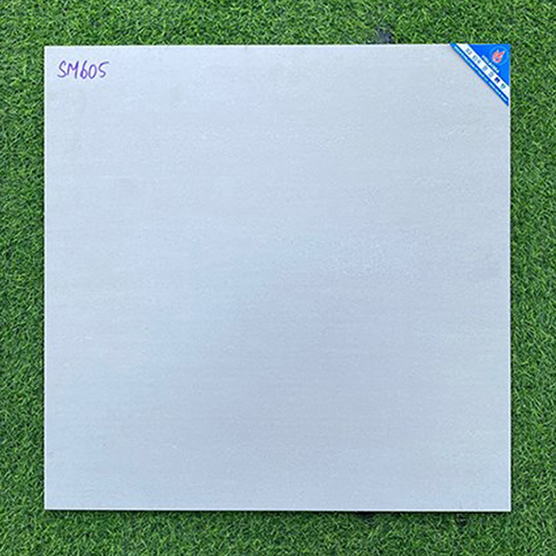 Gạch Viglacera 60x60 mờ SM605