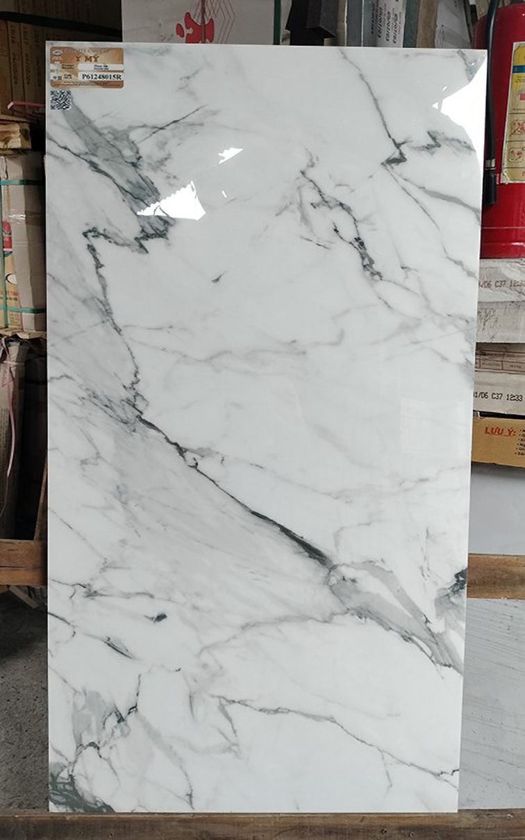Gạch Ý Mỹ 60x120 P61248015R