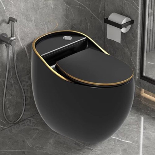 Bồn cầu khối cao cấp trứng đen viền vàng