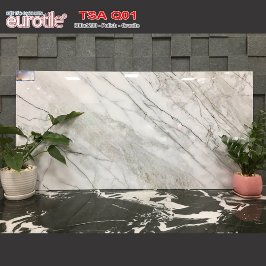 Gạch Eurotile 60x120 SIG-TSA-Q01